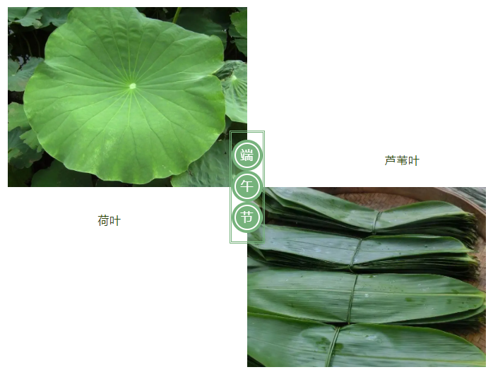 永利VIP医纺