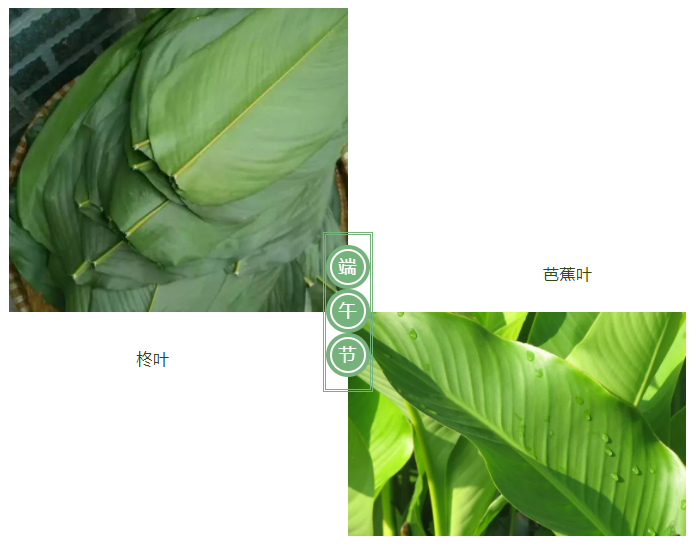 永利VIP医纺