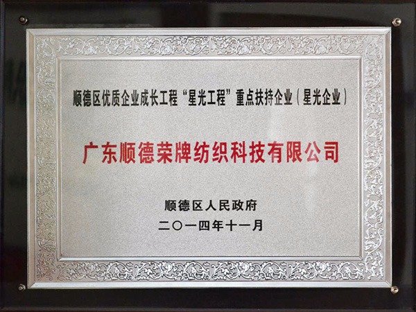 永利VIP-2012年获顺德政府颁发“星光企业”称号