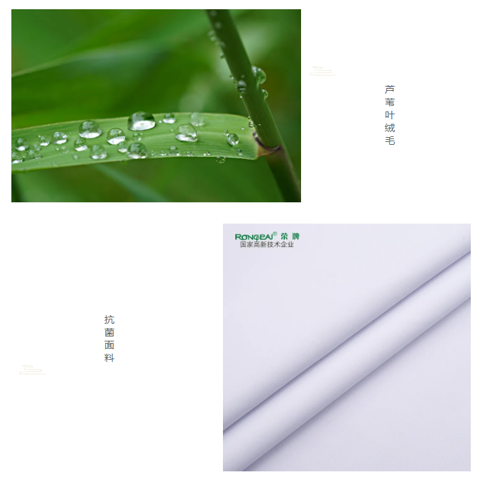 永利VIP医纺