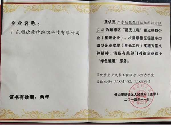 永利VIP荣获政府重点扶持企业